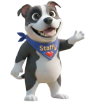 Follow Staffy
